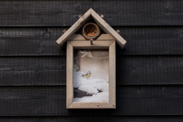 Vogelvoederhuisje Pimpelmees