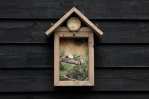 Vogelvoederhuisje Pimpelmees en Koolmees
