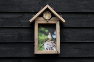 Vogelvoederhuisje Groene specht