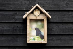 Vogelvoederhuisje Merel
