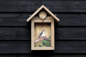 Vogelvoederhuisje  Bonte specht