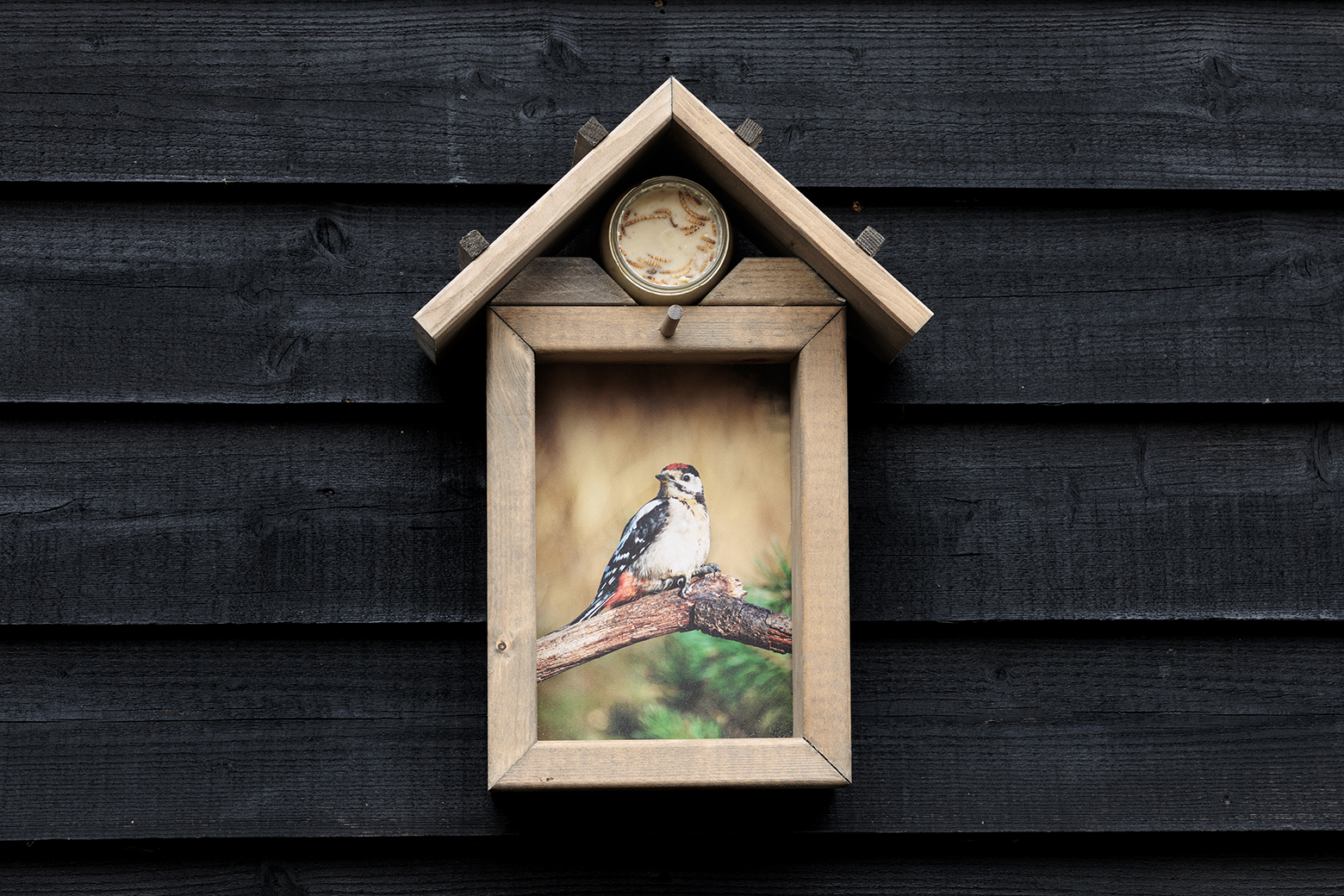 Vogelvoederhuisje Bonte specht