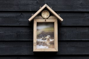 Vogelvoederhuisje Goudhaantje